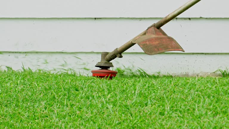Best Commercial Tree Services  in Glenwood City, WI