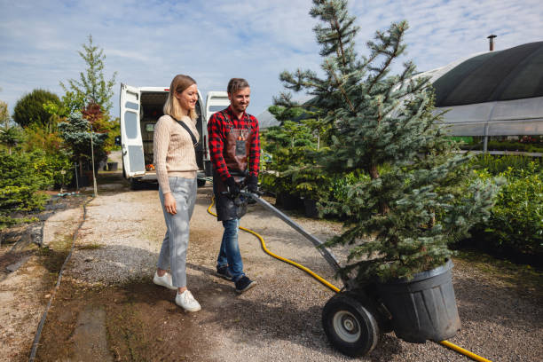 Lawn Pest Prevention in Glenwood City, WI